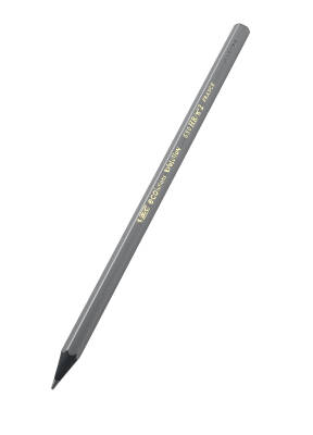 Bic Evolutıon Black Kurşun Kalem 4'lü - 2