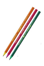 Bic Evolutıon 646 Kurşun Kalemi - BIC