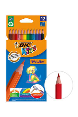 Bic Evolutıon Kuru Boya Kalemi 12'li Kutu - 1