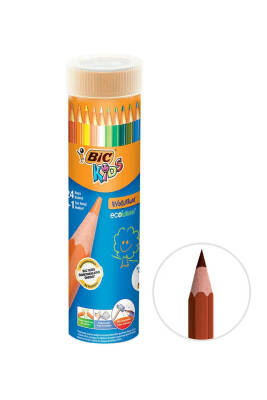 Bic Kuru Boya Kalemi 24+1 Metal Tüp - 1