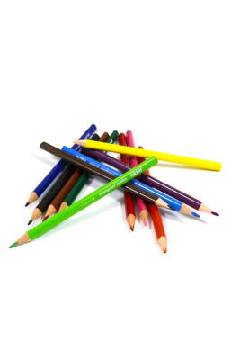 Bic Silinebilir Kuru Boya Kalemi 12 Renk - 2