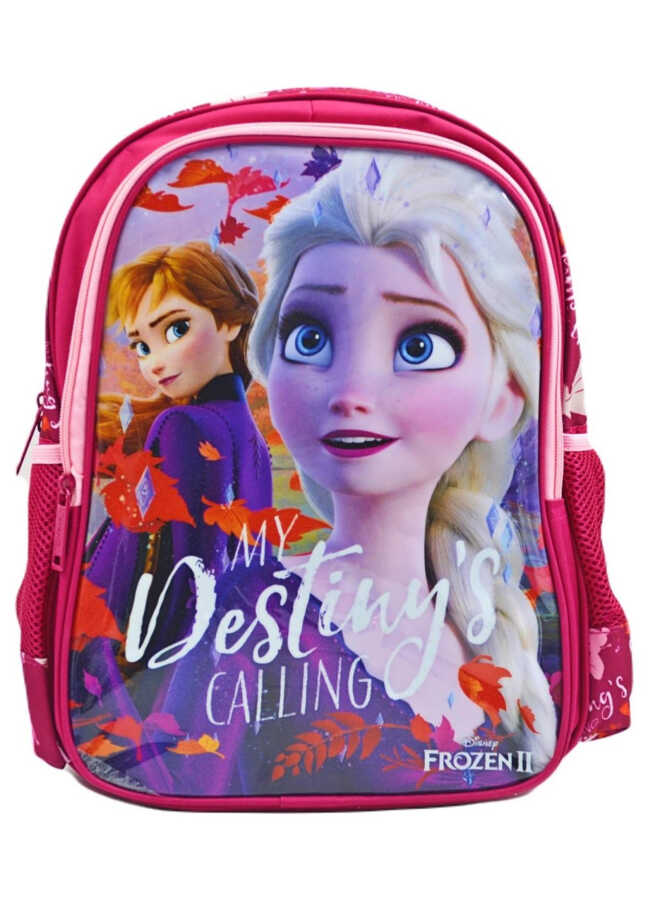 Frocx 48031 Frozen İlkokul Çantası Hawk My Destıny