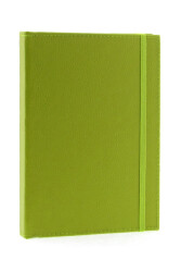 Liz 801 Suni Deri Dikişli Bloklu Kap - Liz