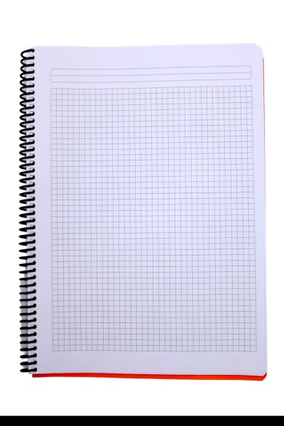 Mynote Flex A4 120 Yaprak Kareli Spiralli Plastik Neon Kapak Defter - 12