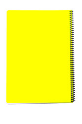 Mynote Flex A4 80 Yaprak Kareli Spiralli Plastik Neon Kapak Defter - 11