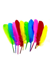 Puti Kuş Tüyü 10'lu Paket 4742 - Inox