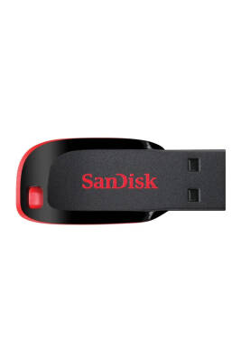 Sandisk 32 Gb Flash Disk Tf20 - 1