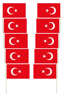 Sopalı Türk Bayrağı 10'lu Set - 1