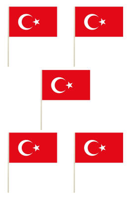 Sopalı Türk Bayrağı 5'li Set - 1