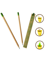 Tohumlu Kalem - Kırtasiye Ofisi